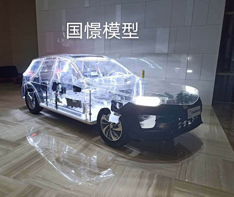 岚皋县透明车模型